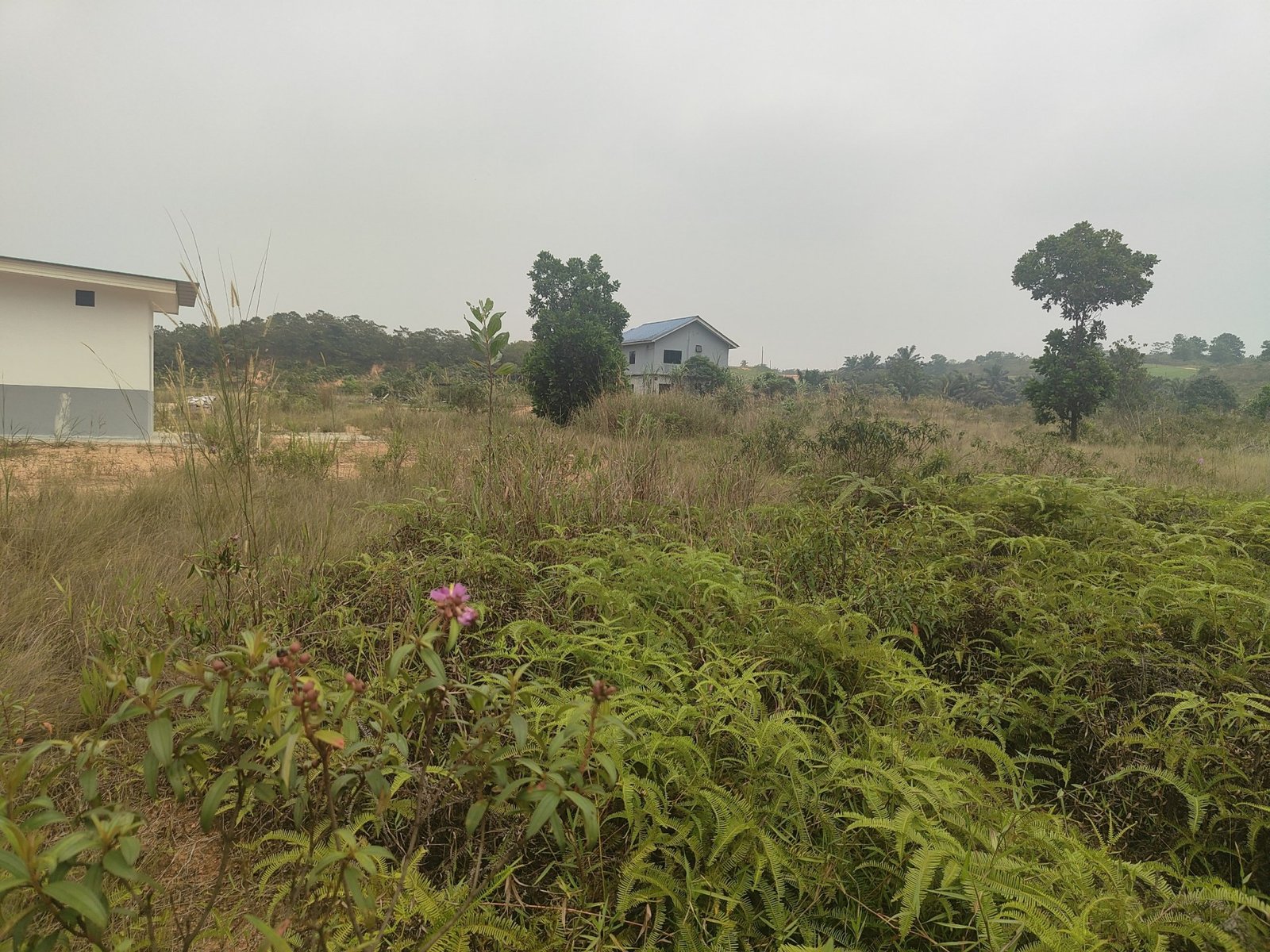 SP112 - TANAH BANGUNAN 2670 SQFT BERGERAN - KAMPUNG MELAYU SEELONG SENAI.
