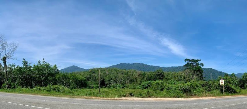 Tanah Pertanian 1/2 Share (Main Road), Lenggong, Perak