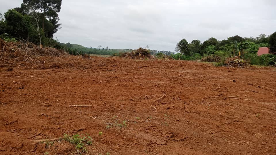 SP36 - TANAH PERTANIAN 4.46 EKAR - BUKIT TANGKONG SEGAMAT.