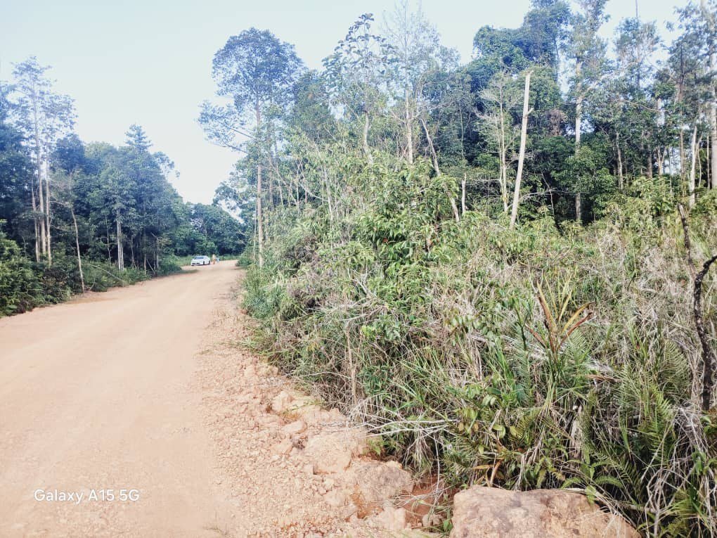 SP80 - TANAH PERTANIAN 1.848 EKAR - BUKIT PELALI PENGERANG.