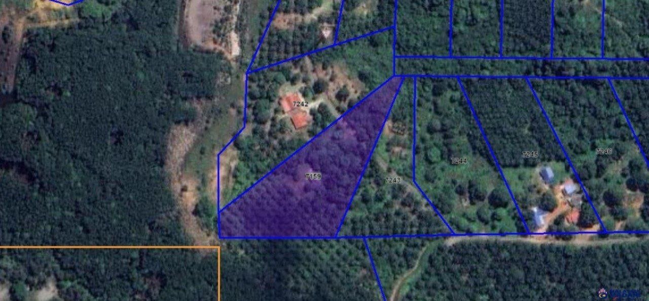 SP131 - TANAH PERTANIAN 3.44 EKAR - KAMPUNG SUNGAI PACHAT PENGERANG.