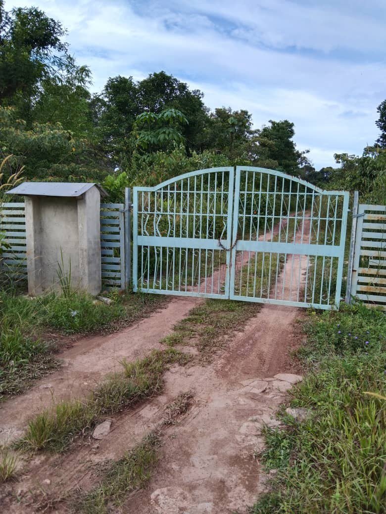 SP148 - TANAH PERTANIAN 12 EKAR - KAMPUNG JELUTONG TENGAH, GELANG PATAH.